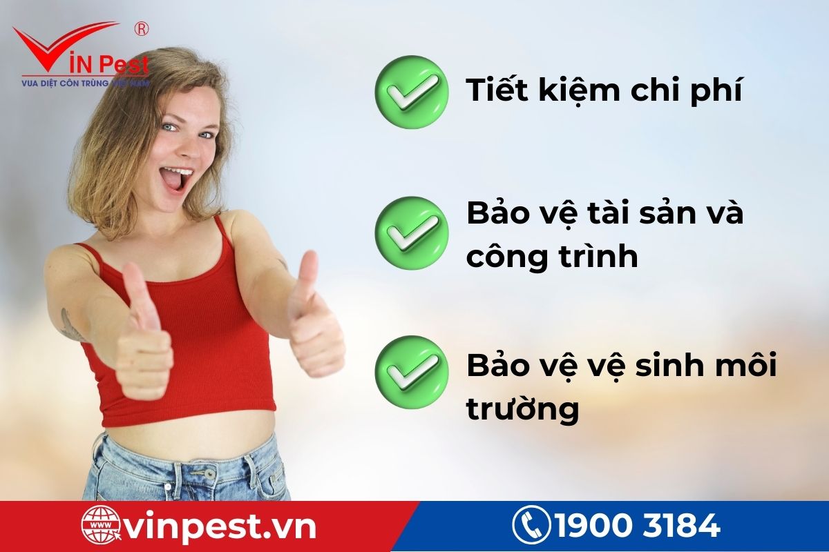 dịch vụ diệt mối tận gốc tại hà đông