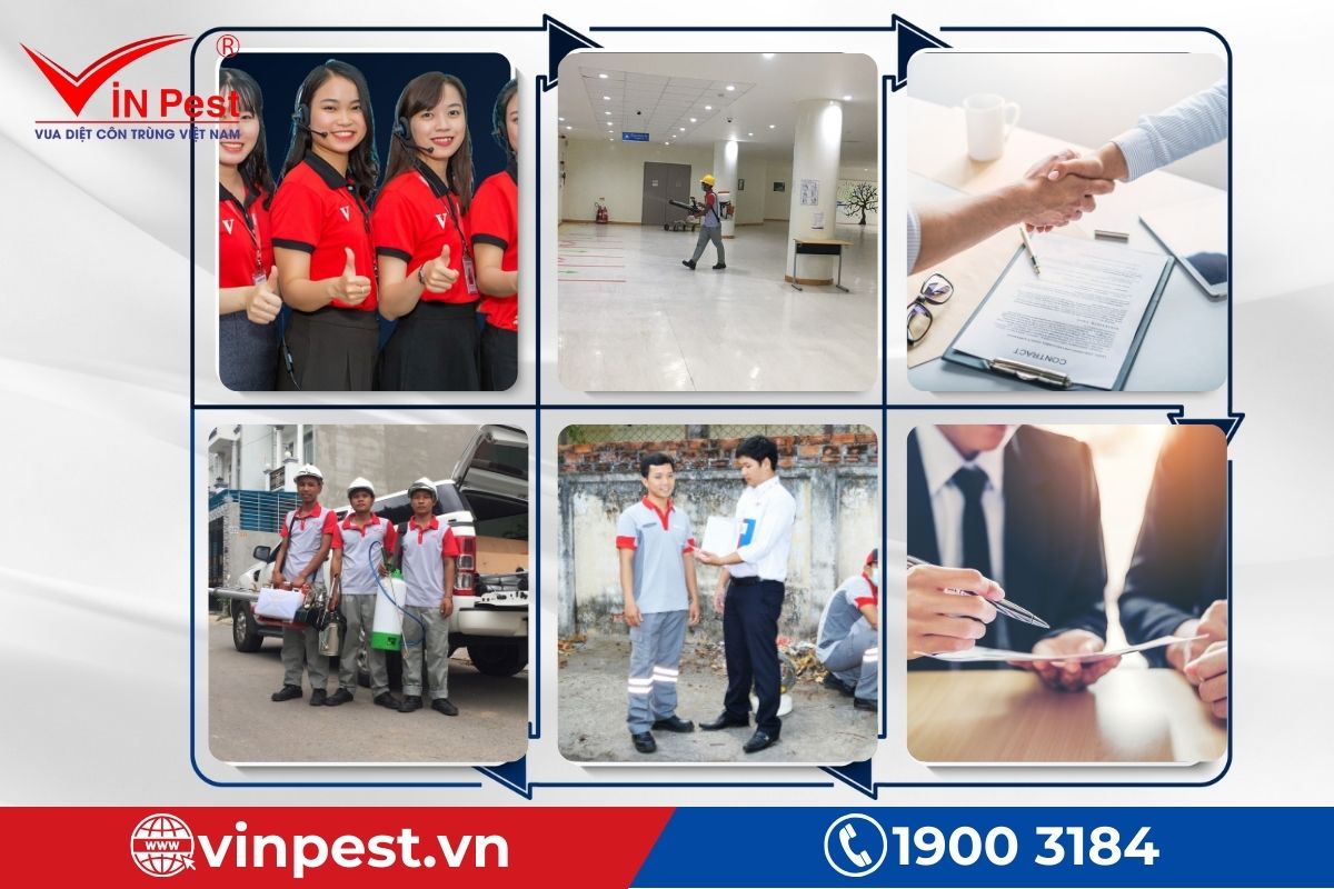 công ty diệt mối tại hà đông