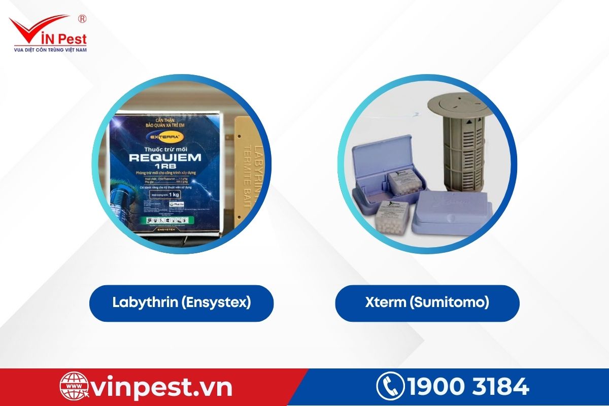 Gói diệt mối Labythrin & Xterm tại VinPest Gói diệt mối Labythrin & Xterm tại VinPest