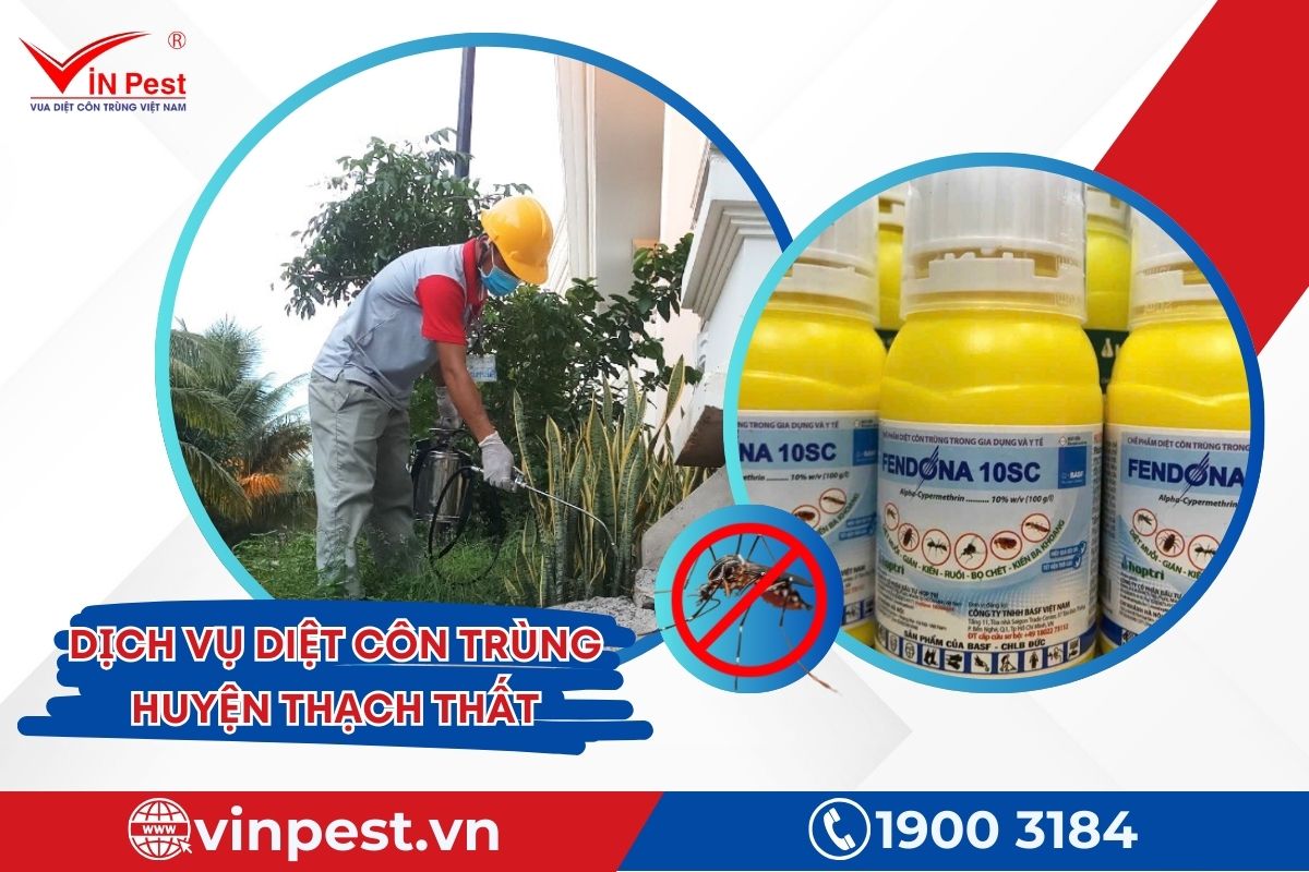 hóa chất diệt côn trùng của Vinpest hóa chất diệt côn trùng của Vinpest