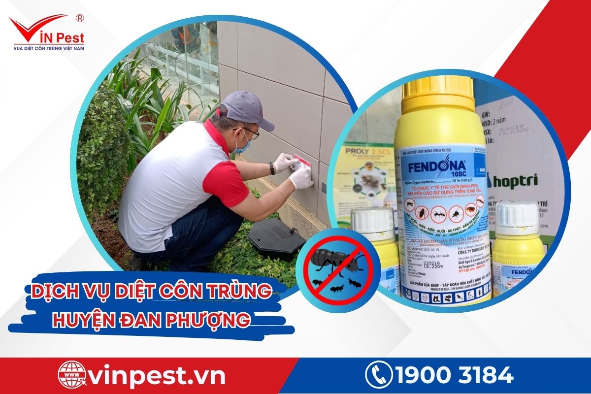 Hóa chất diệt côn trùng tại Vinpest Hóa chất diệt côn trùng tại Vinpest
