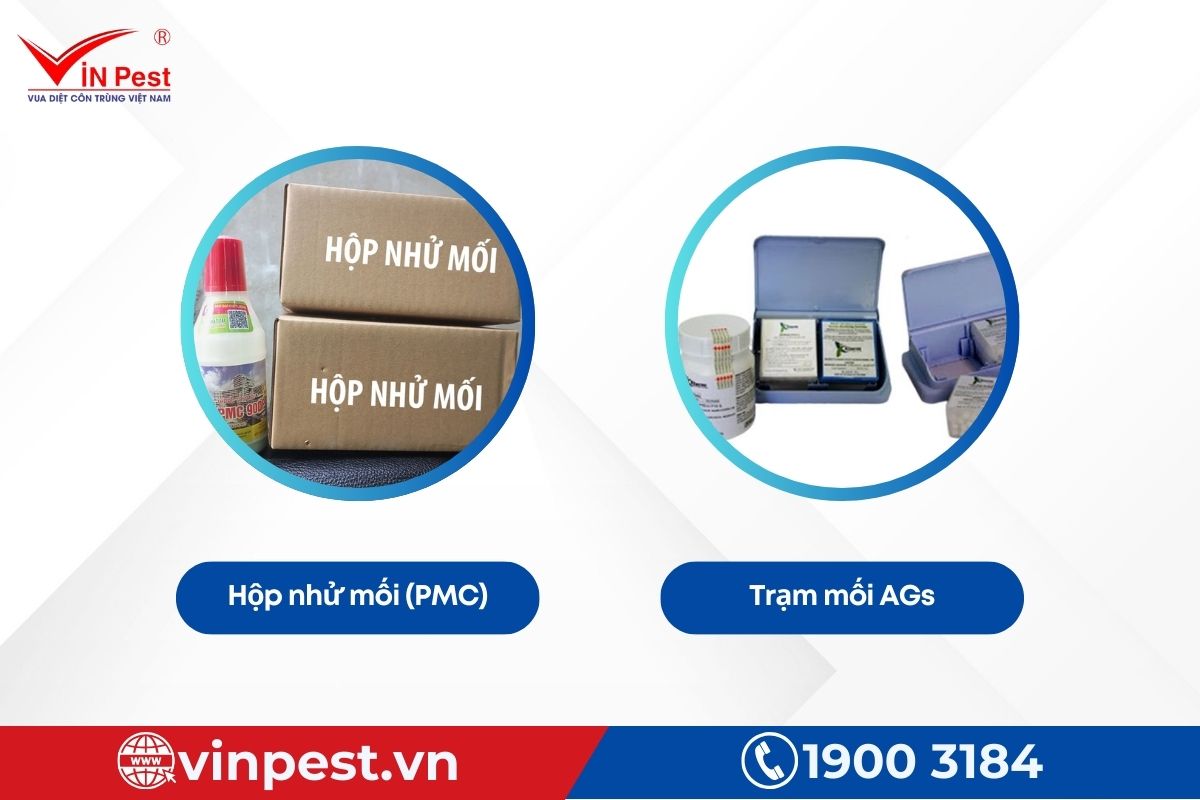 Gói diệt mối với hộp nhử mối (PMC) và trạm mối AGs Gói diệt mối với hộp nhử mối (PMC) và trạm mối AGs