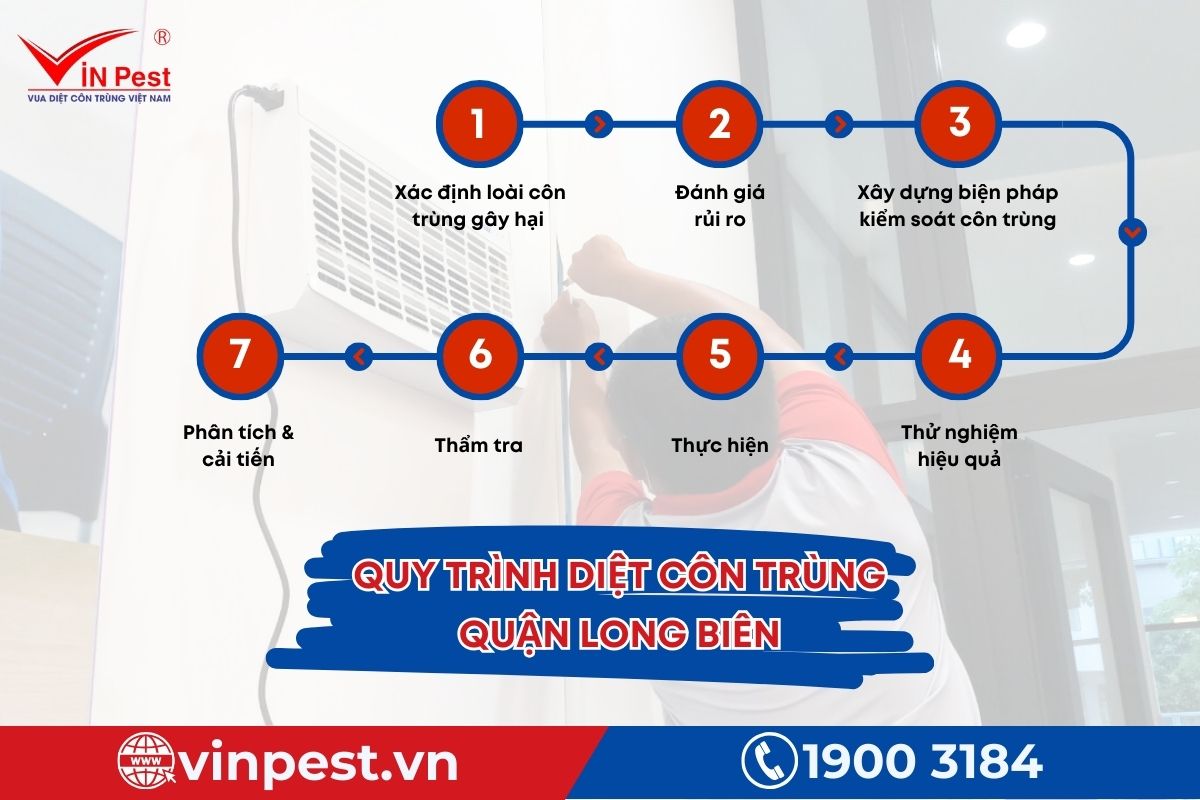 Quy trình diệt côn trùng 7 bước tại Long Biên của Vinpest Quy trình diệt côn trùng 7 bước tại Long Biên của Vinpest