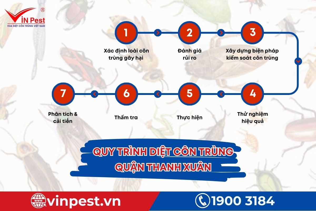 Quy trình diệt côn trùng 7 bước tại Quận Thanh Xuân của Vinpest