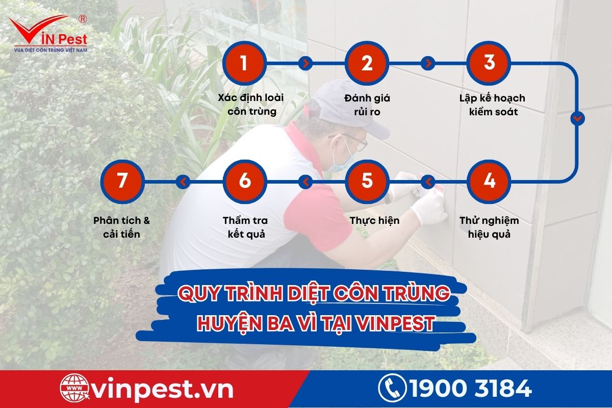 Quy trình diệt côn trùng huyện Ba Vì của Vinpest Quy trình diệt côn trùng huyện Ba Vì của Vinpest