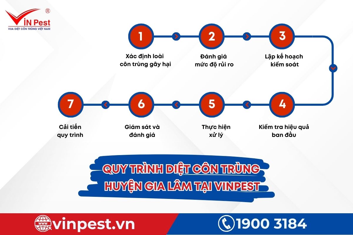 quy trình diệt côn trùng huyện Gia Lâm từ VinPest quy trình diệt côn trùng 7 bước huyện Gia Lâm từ VinPest