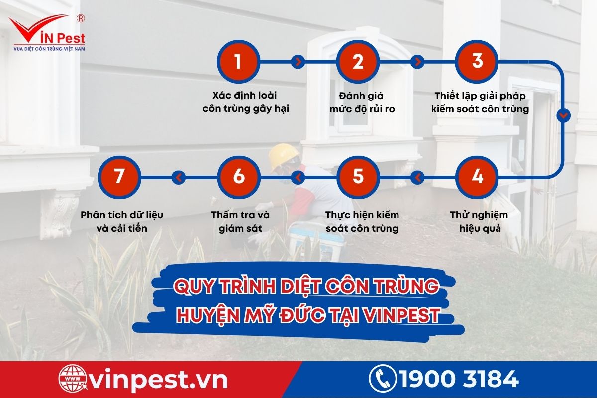 Quy trình diệt côn trùng 7 bước của Vinpest tại Mỹ Đức Quy trình diệt côn trùng 7 bước của Vinpest tại Mỹ Đức
