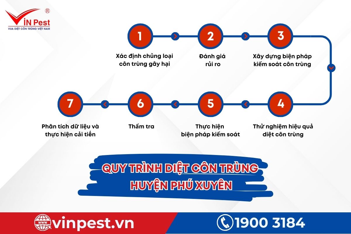 VinPest thực hiện diệt côn trùng huyện Phú Xuyên chỉ với 7 bước VinPest thực hiện diệt côn trùng huyện Phú Xuyên chỉ với 7 bước
