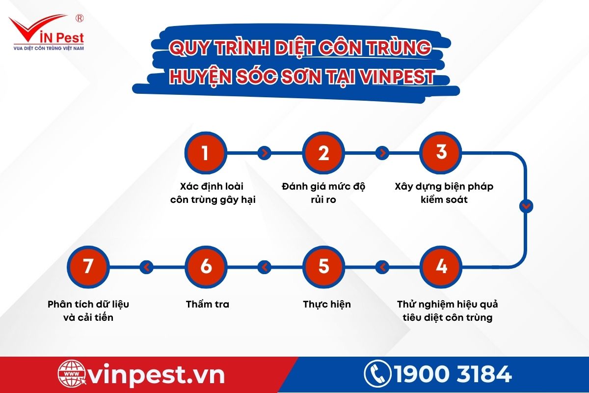 Quy trình diệt côn trùng huyện Sóc Sơn của Vinpest Quy trình diệt côn trùng huyện Sóc Sơn của Vinpest