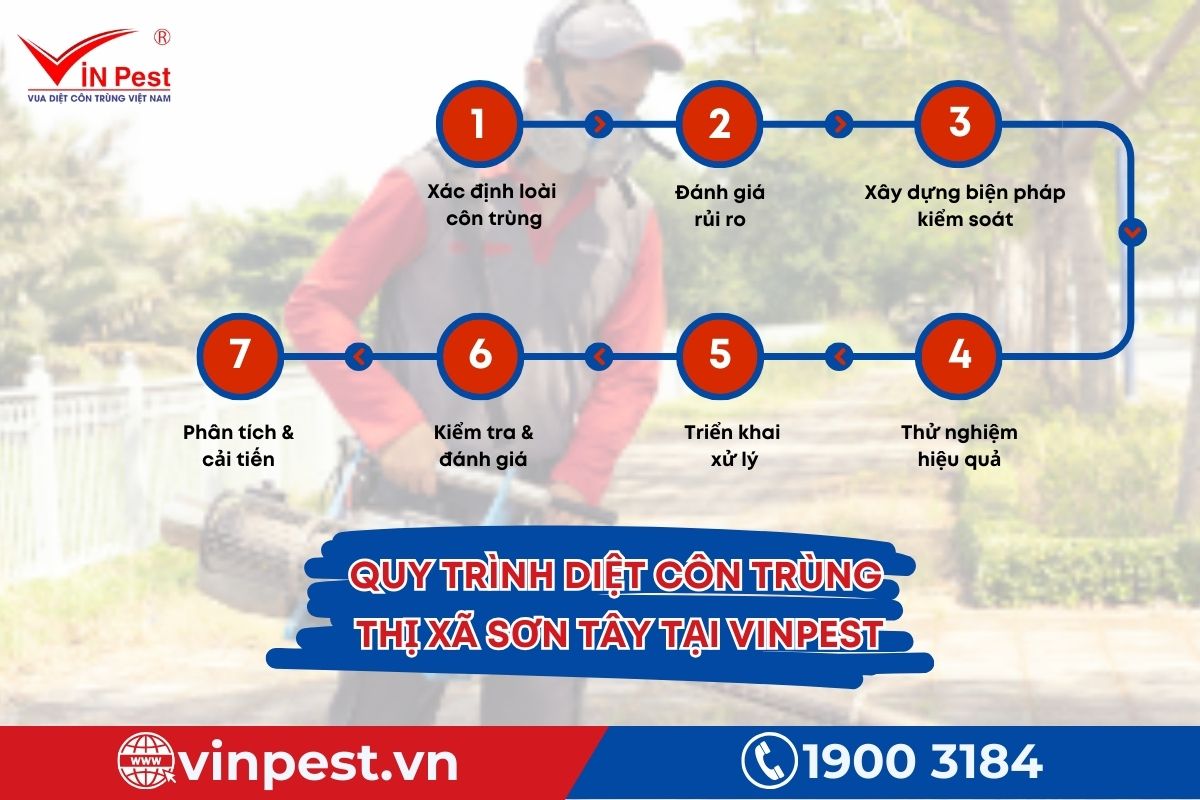 Quy trình diệt côn trùng 7 bước của Vinpest Quy trình diệt côn trùng 7 bước của Vinpest
