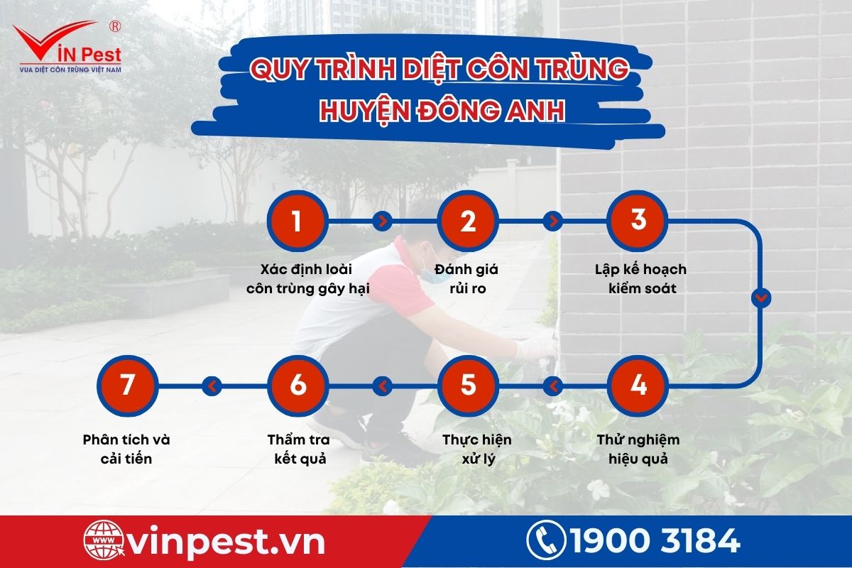 quy trình diệt côn trùng huyện Đông Anh từ VinPest quy trình diệt côn trùng huyện Đông Anh từ VinPest