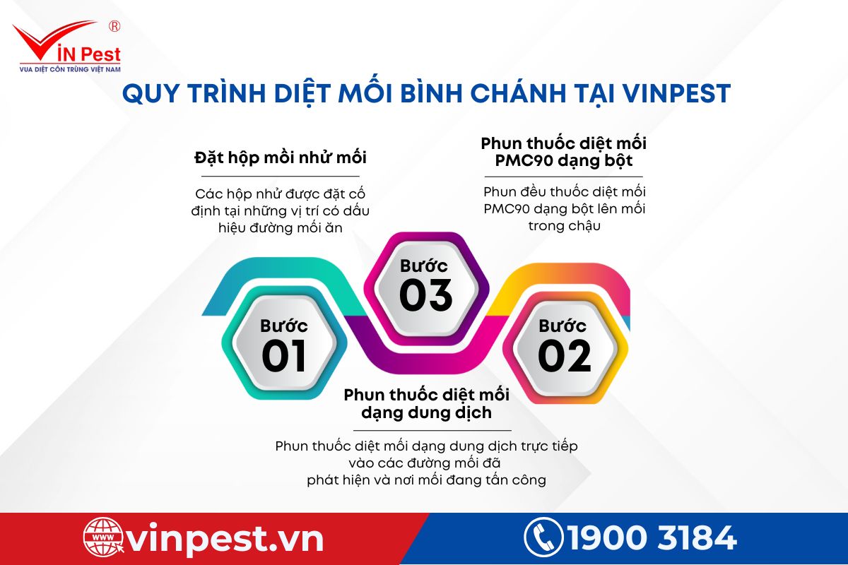 Quy trìn diệt mối tại Bình Chánh 3 bước của Vinpest