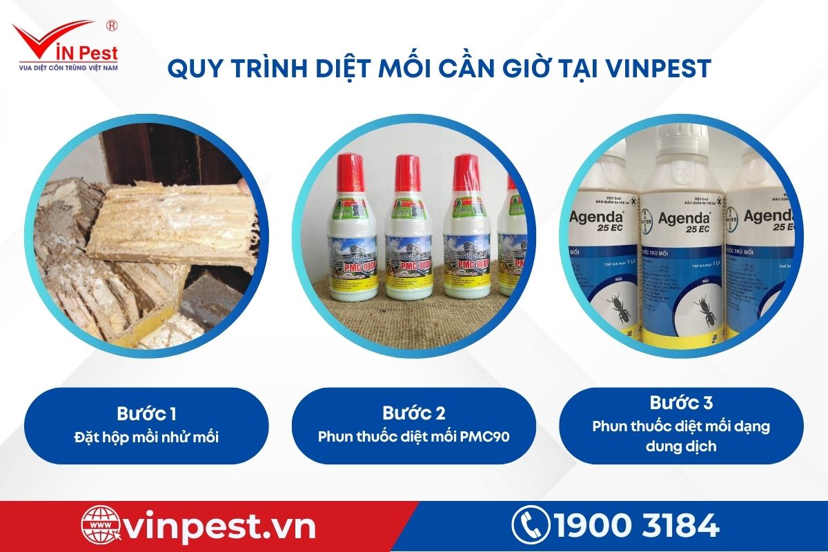 Quy trình diệt mối 3 bước tại Cần Giờ của Vinpest Quy trình diệt mối 3 bước tại Cần Giờ của Vinpest