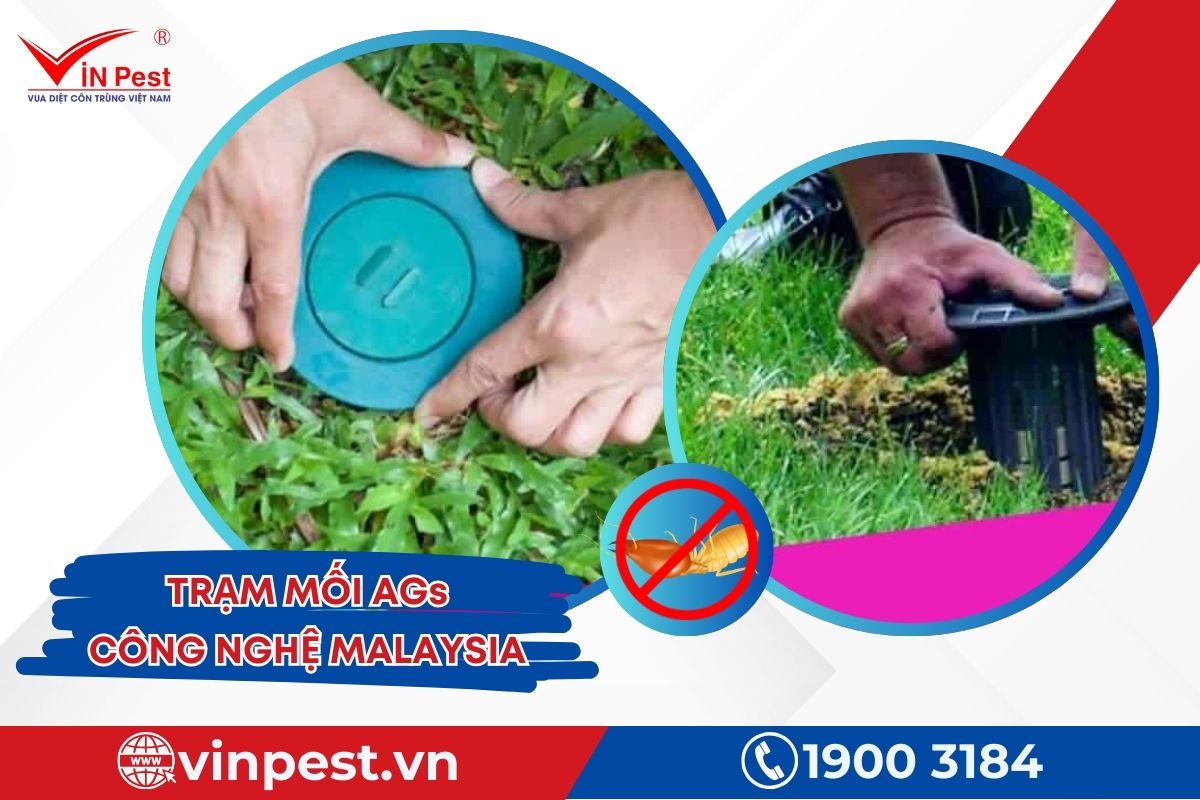 Trạm mối AGs Trạm mối AGs