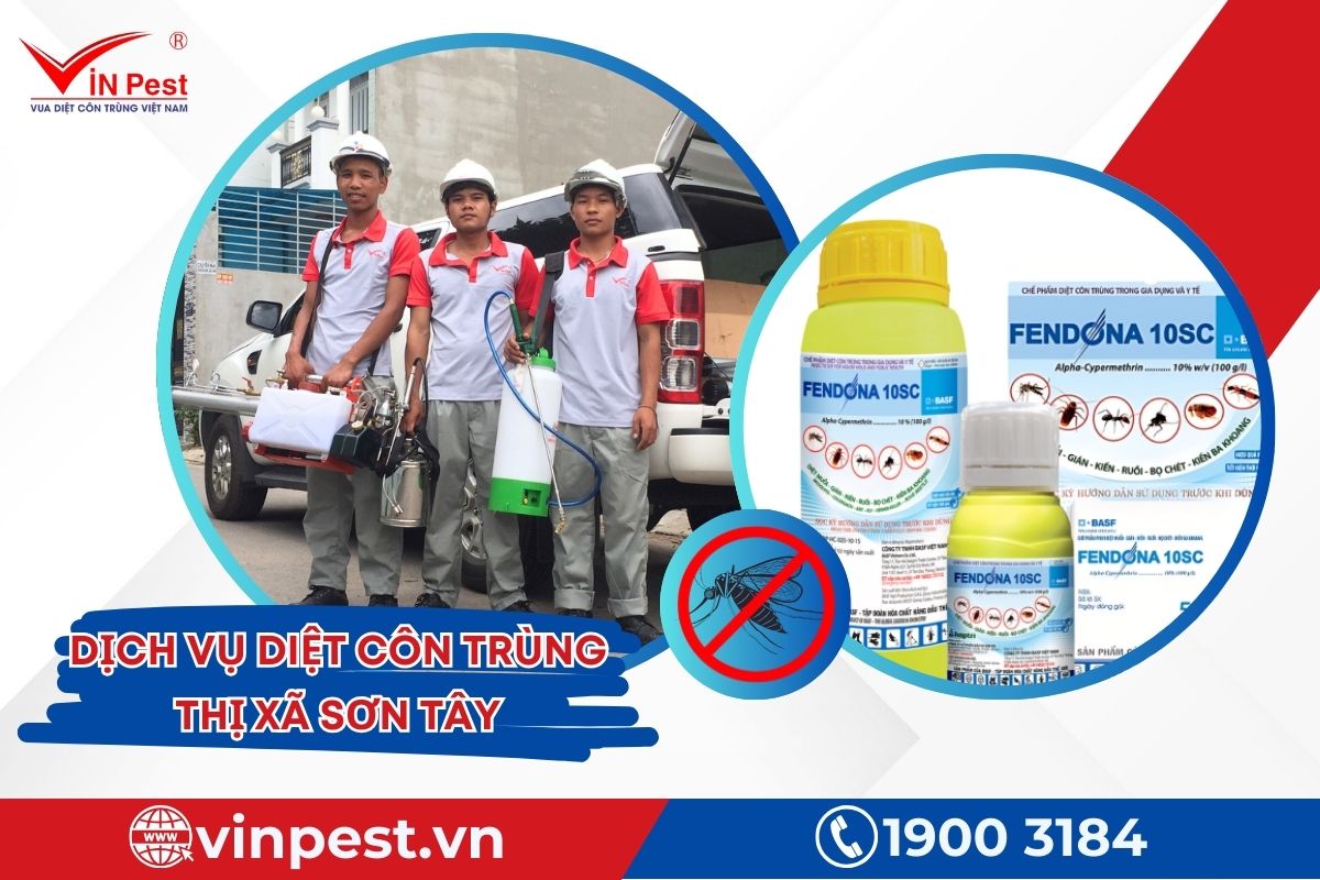 VinPest sử dụng thuốc diệt côn trùng chất lượng VinPest sử dụng thuốc diệt côn trùng chất lượng
