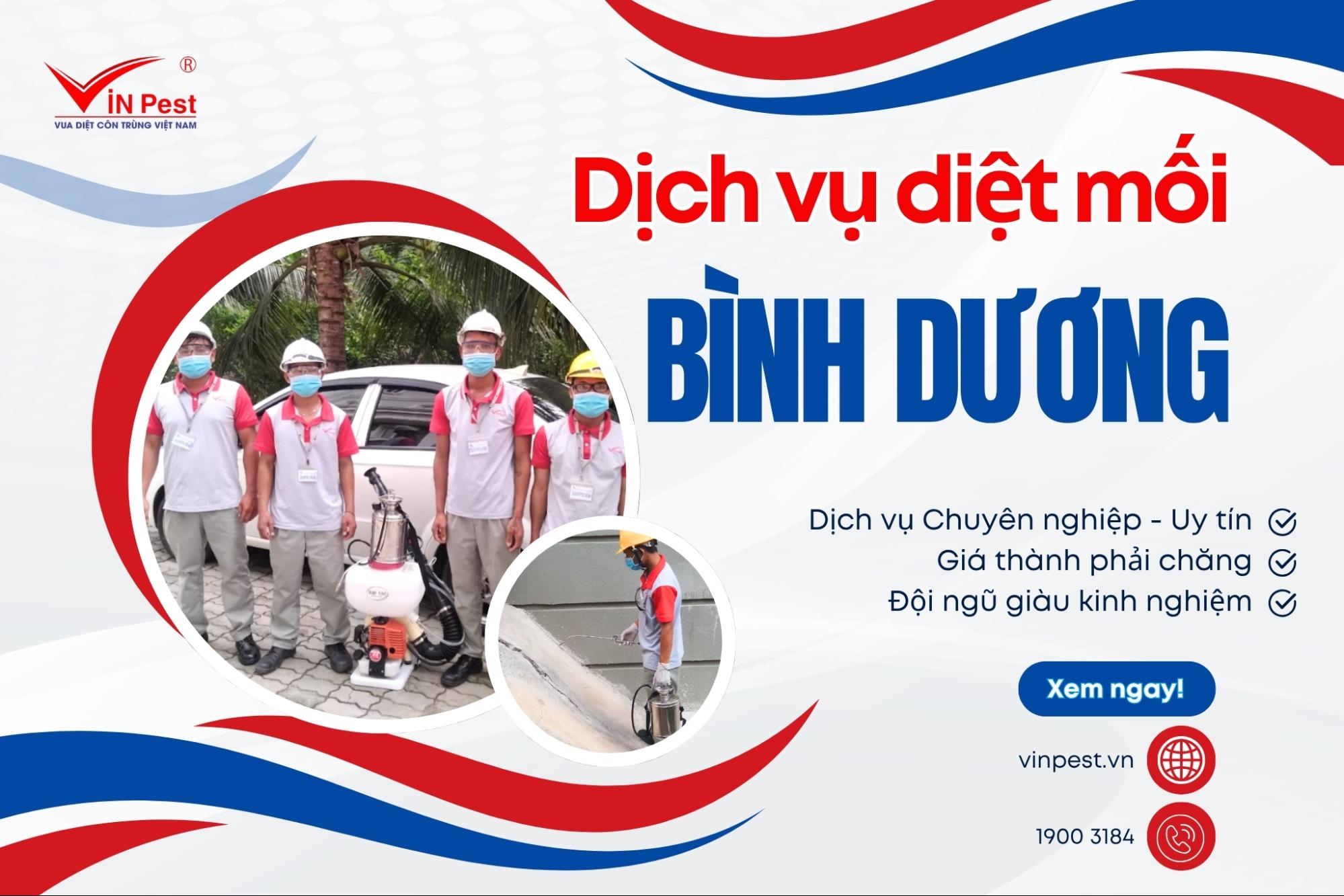 diệt mối bình dương tận gốc