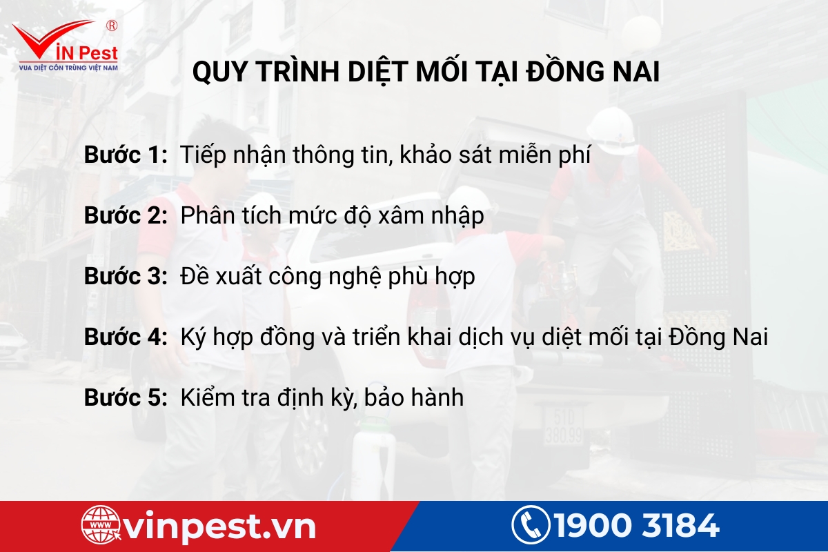 công ty diệt mối đồng nai VinPest với quy trình chuyên nghiệp
