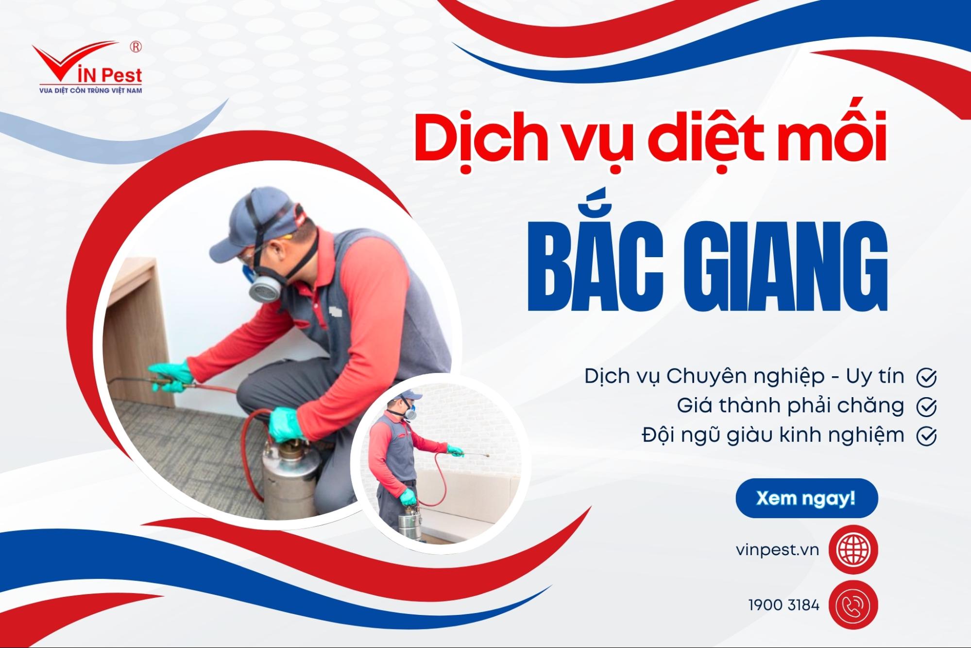 diệt mối tại bắc giang uy tín