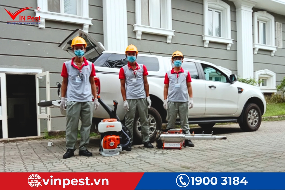 dịch vụ diệt mối tận gốc bắc giang