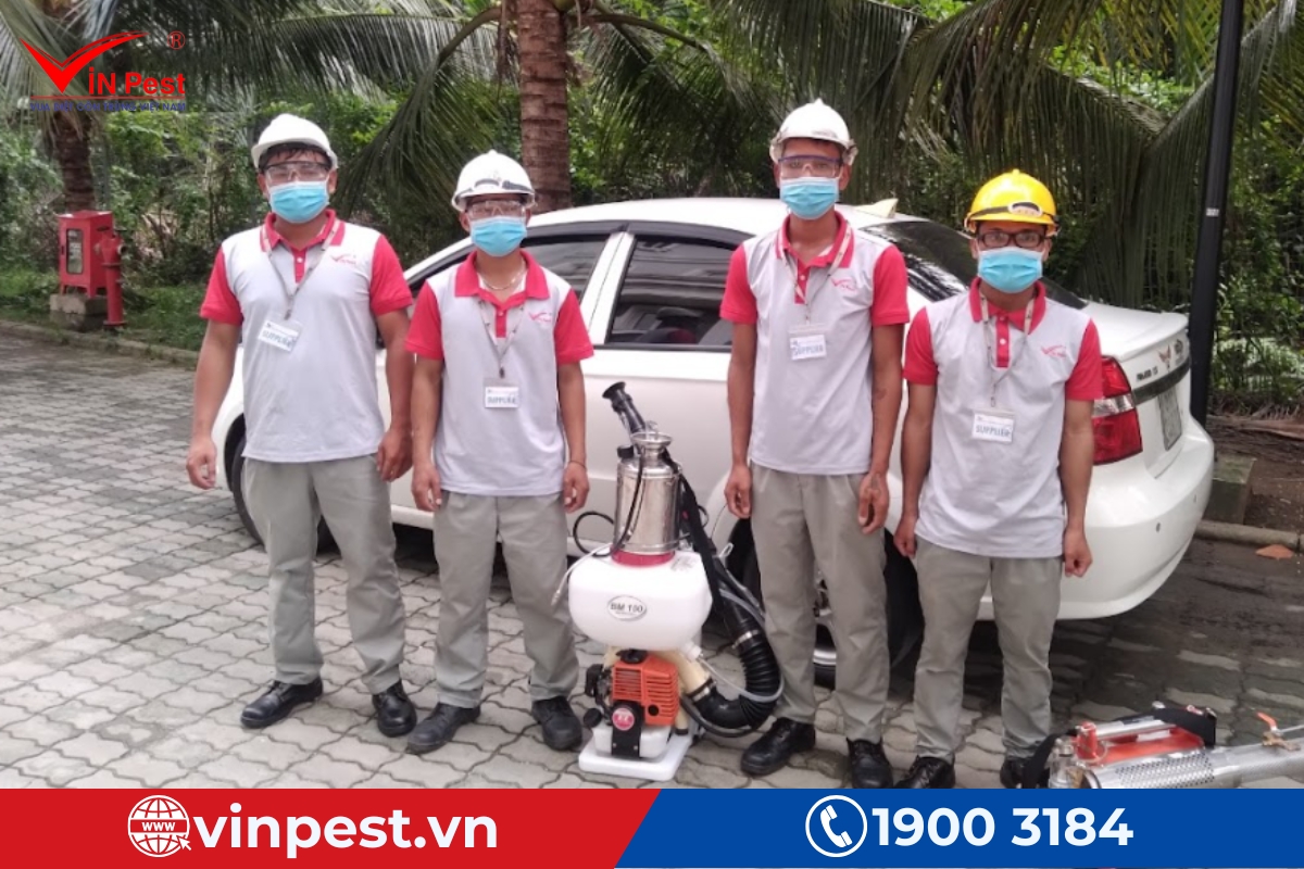 công ty diệt mối tận gốc bắc giang