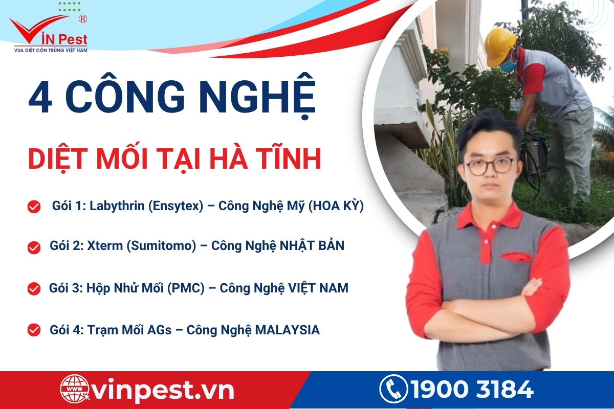 các công nghệ diệt mối tại hà tĩnh