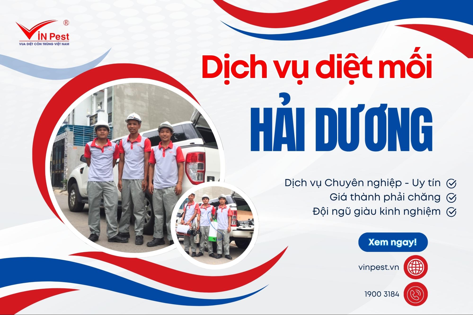 công ty diệt mối hải dương ưu tín