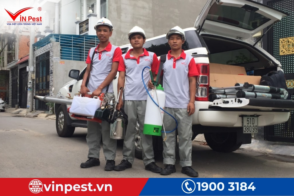 dịch vụ diệt mối tại nhà quảng bình