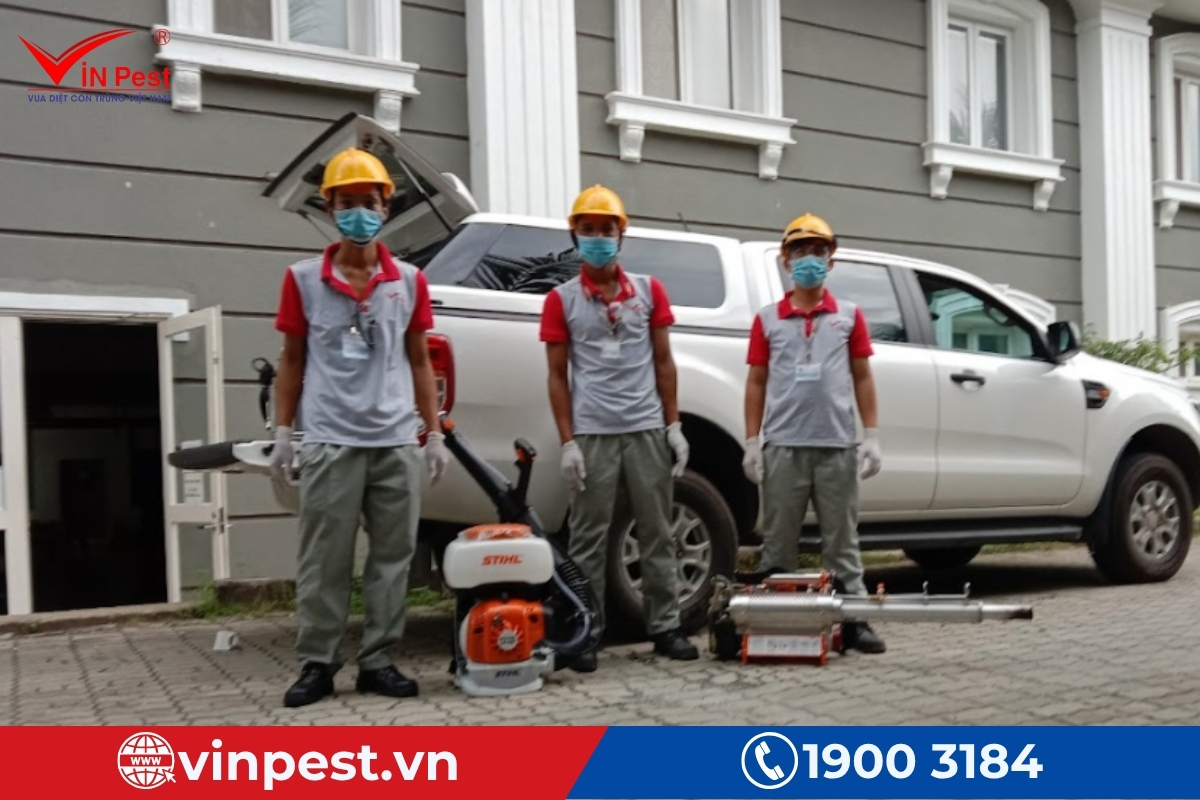 dịch vụ diệt mối sóc sơn uy tín