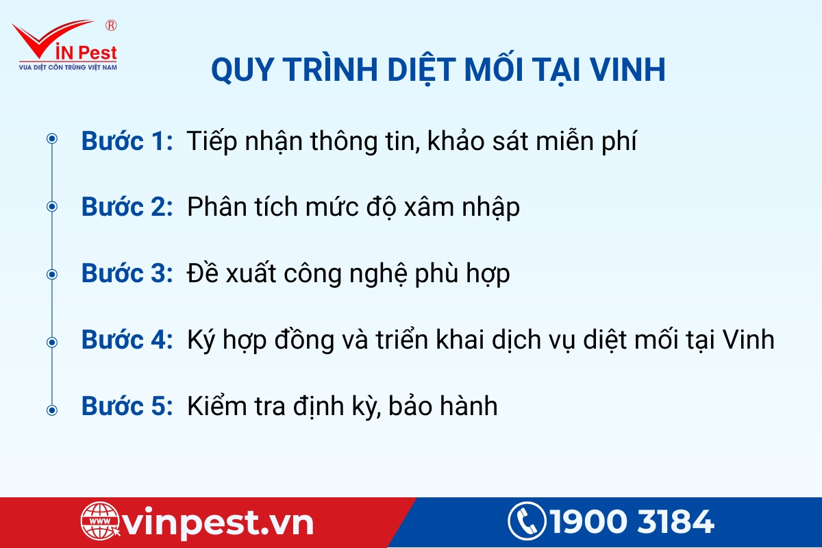 quy trình diệt mối tận gốc tại vinh của VinPest