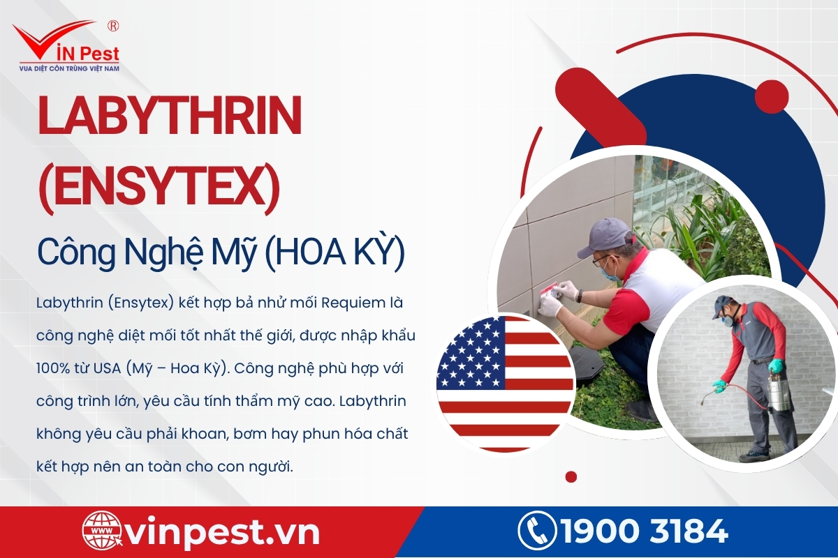 dịch vụ diệt mối bắc ninh công nghệ Labythrin