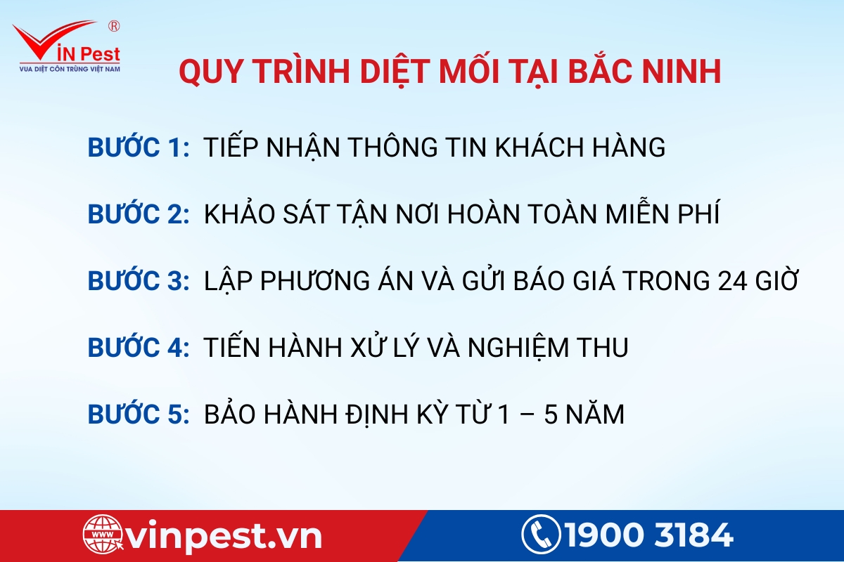 quy trình diệt mối tại nhà tại Bắc Ninh