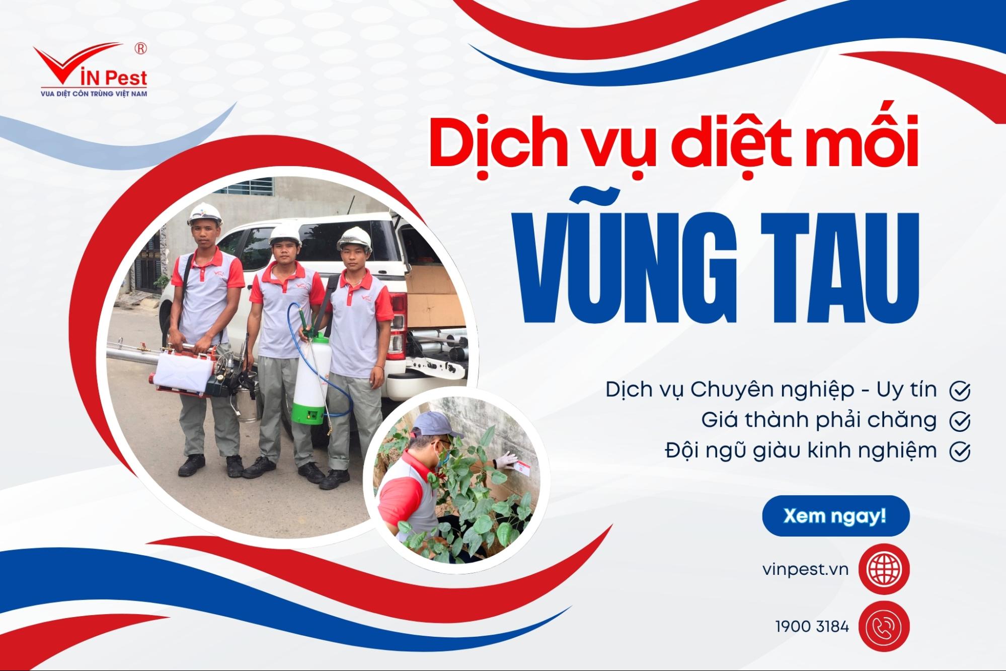 diệt mối vũng tàu uy tín