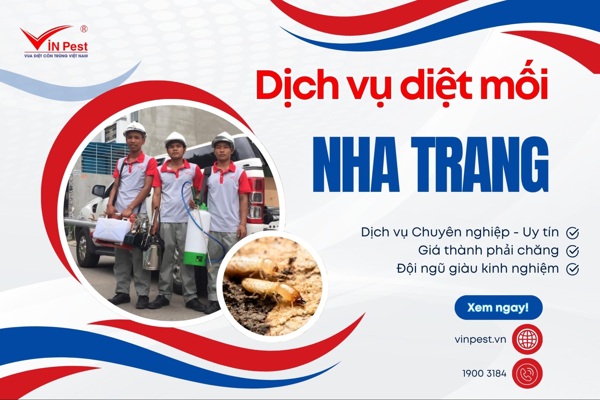 dịch vụ diệt mối tại nhà nha trang