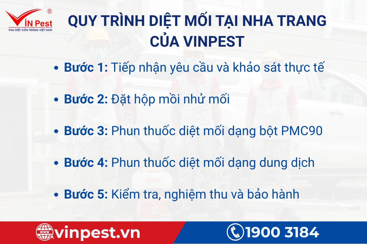 quy trình dịch vụ diệt mối tại nhà nha trang