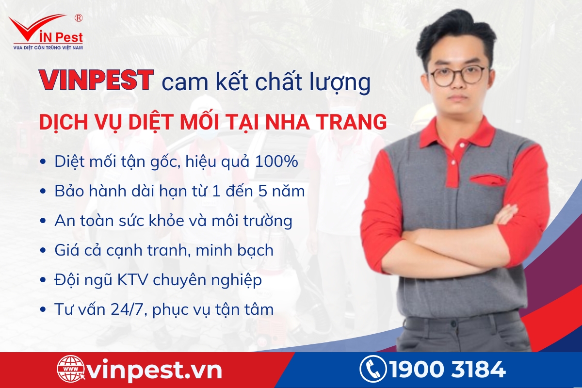 công ty diệt mối tận gốc nha trang