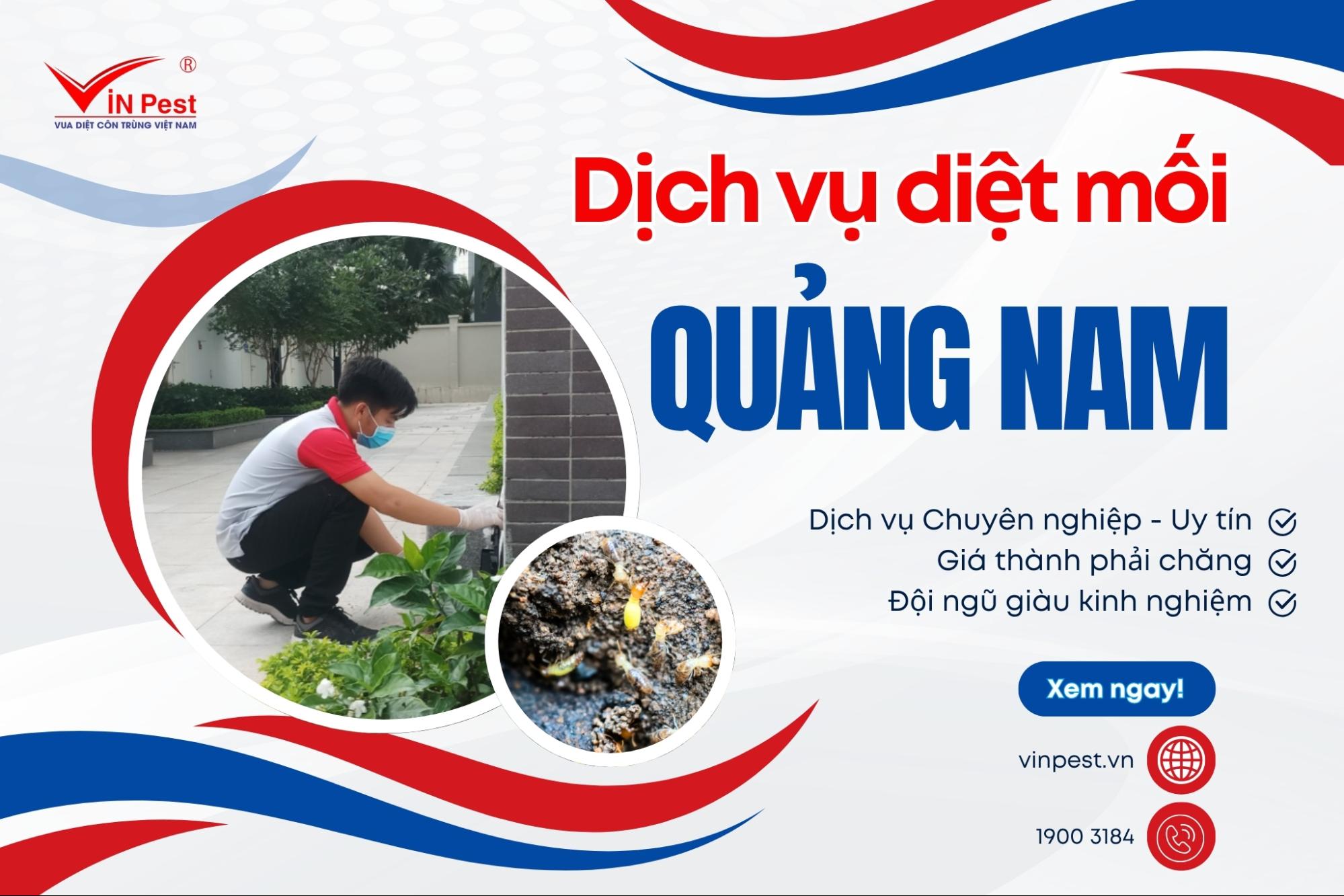 dịch vụ diệt mối quảng nam