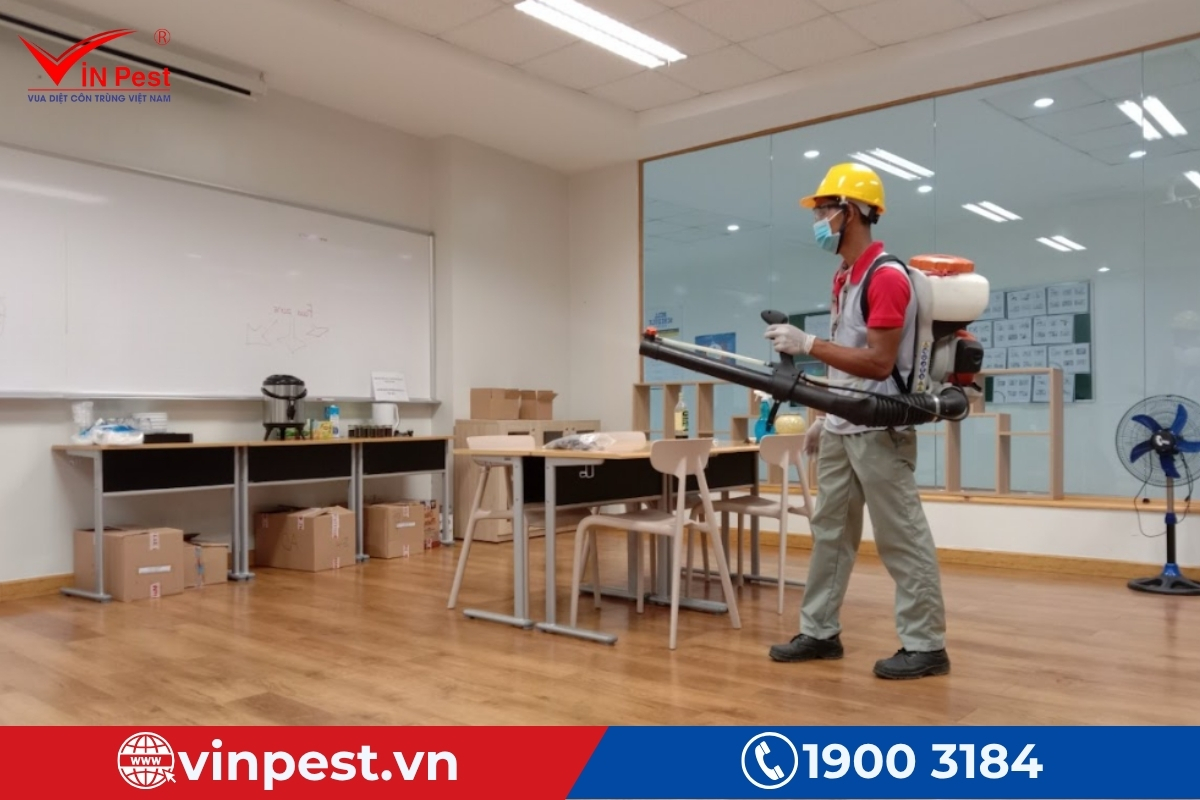 dịch vụ diệt mối tại nhà quảng nam chuyên nghiệp