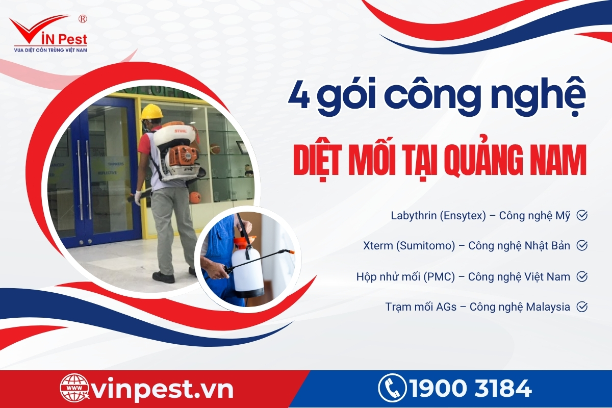 dịch vụ diệt mối tận gốc quảng nam