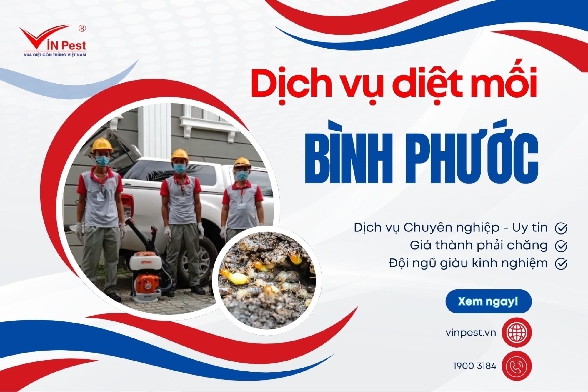 dịch vụ diệt mối bình phước uy tín