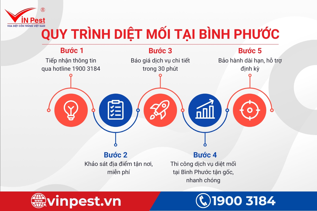 công ty diệt mối tận gốc bình phước