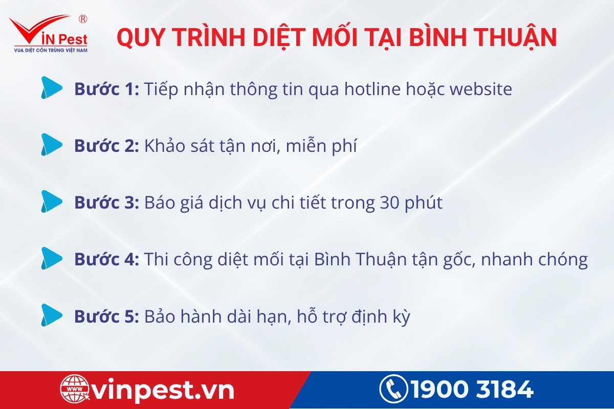 công ty diệt mối tận gốc bình thuận