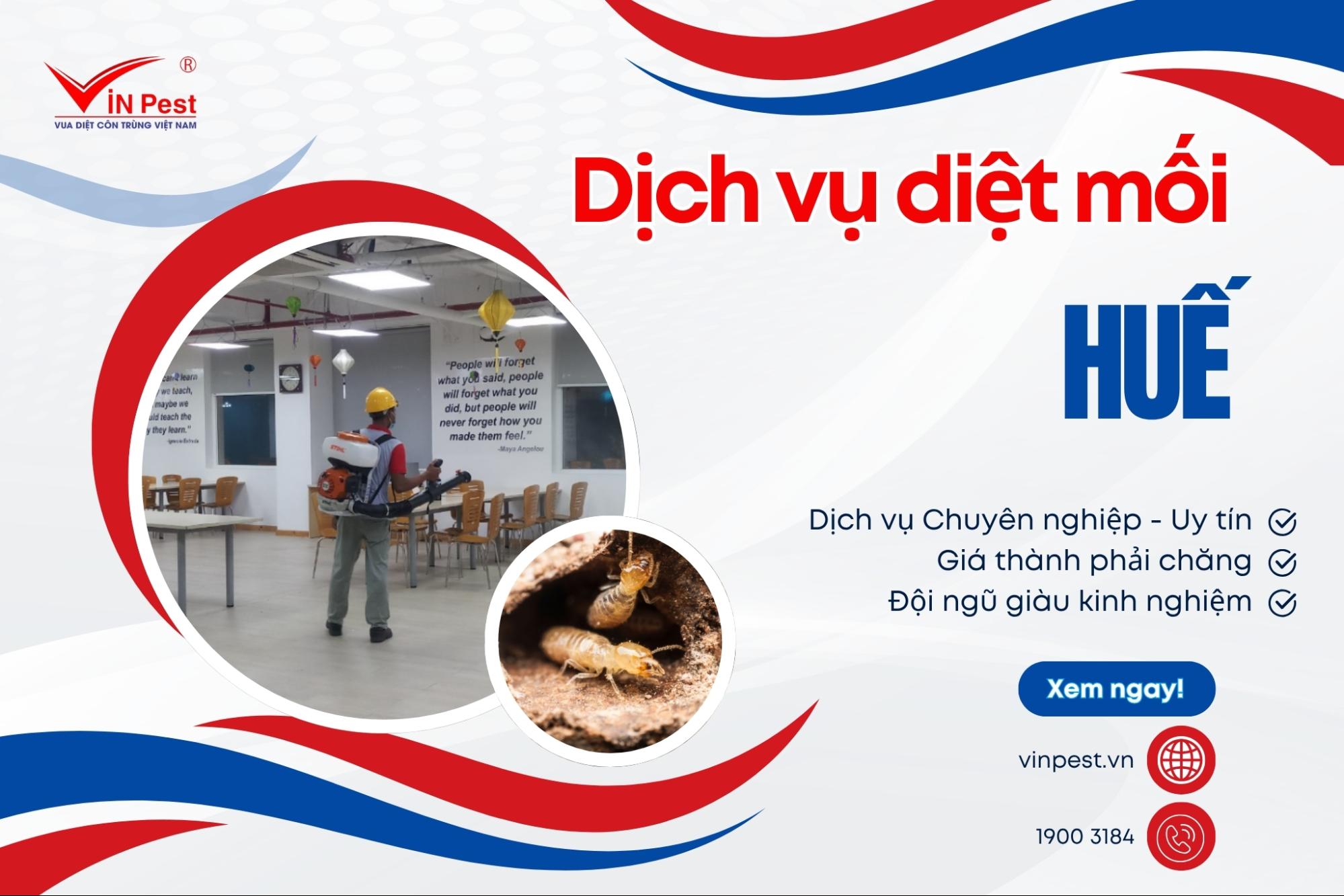 công ty diệt mối tận gốc huế