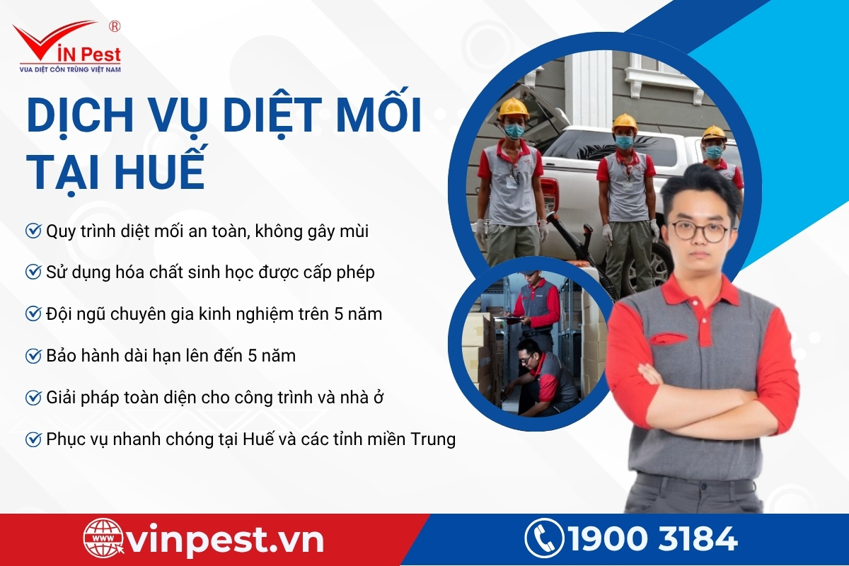 công ty diệt mối huế uy tín