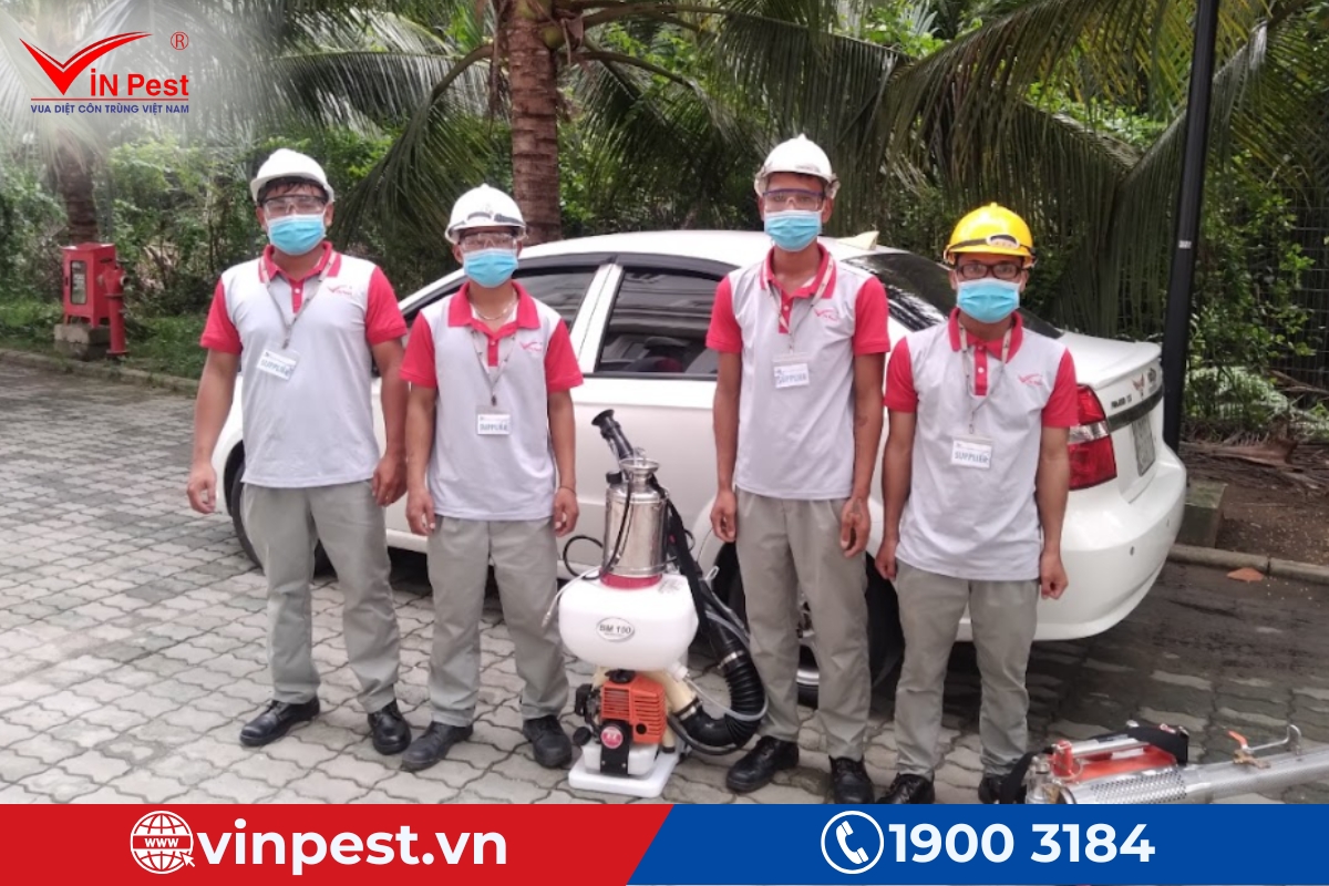 dịch vụ diệt mối tại nhà huế của vinpest