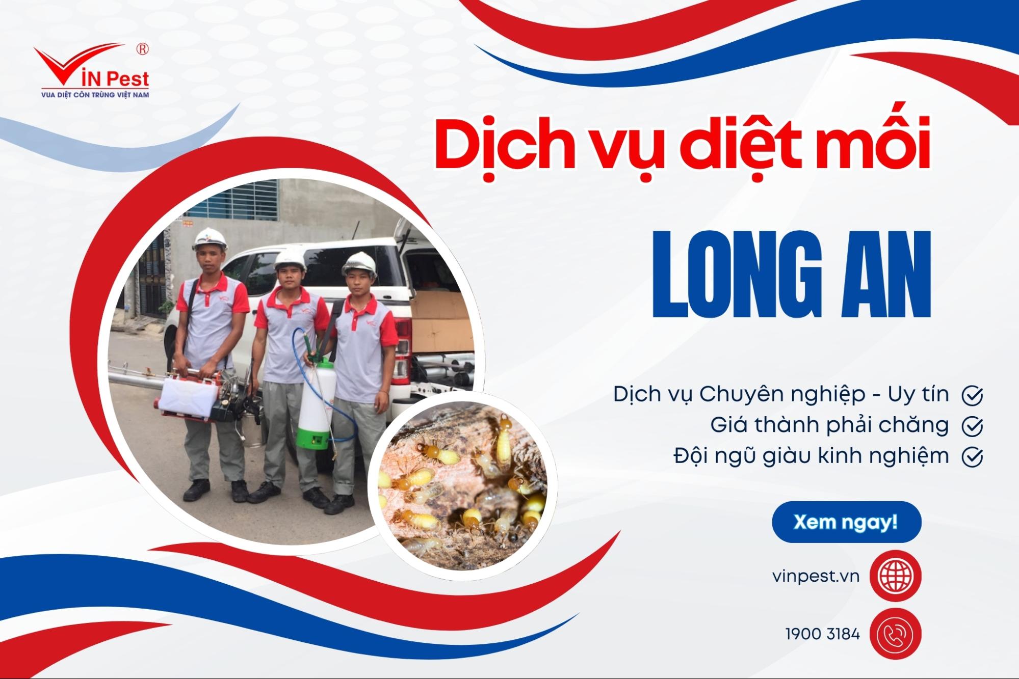 dịch vụ diệt mối tận gốc long an