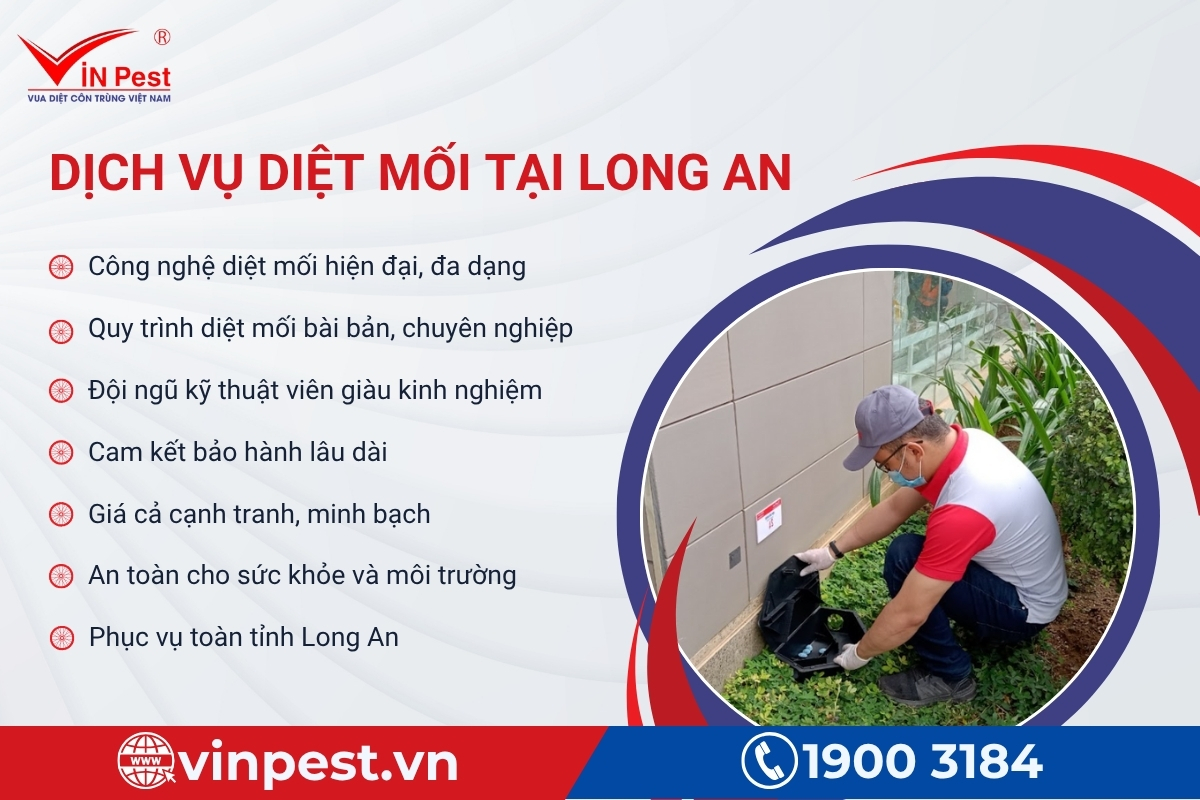 ưu điểm dịch vụ diệt mối tại nhà long an
