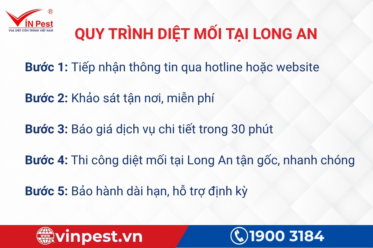 quy trình diệt mối tại long an