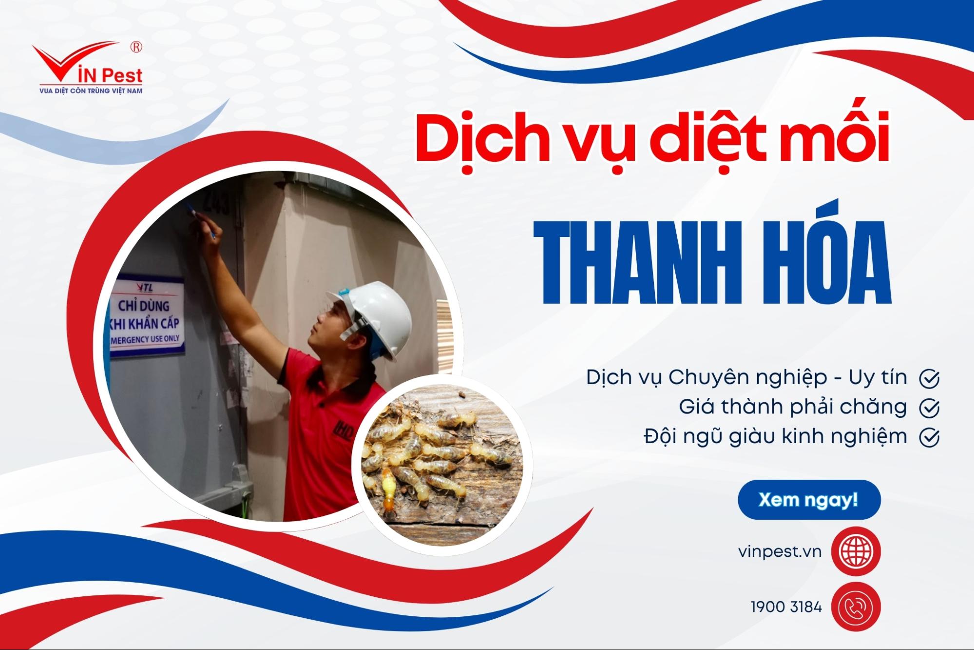 dịch vụ diệt mối tận gốc thanh hoá