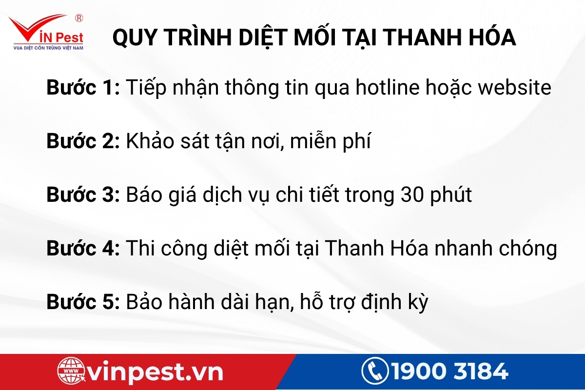 quy trình dịch vụ diệt mối thanh hoá