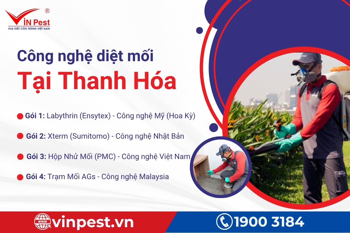 công nghệ diệt mối tại thanh hóa